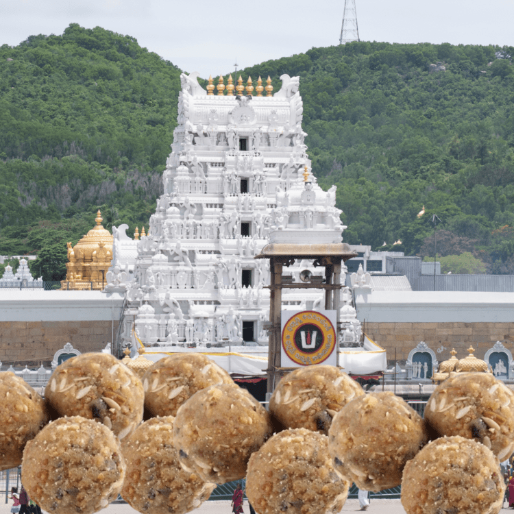 Tirupati Laddoo