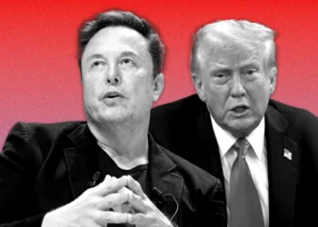 donald trump, elon musk