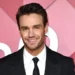 Liam Payne's Tragic Fall : World Mourns Iconic Pop Star's Sudden Death 9 Liam Payne