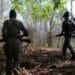 Chhattisgarh Forces Strike: 36 Maoists Killed in Fierce Encounter 9 Chhattisgarh