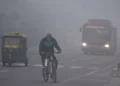 Delhi's Air Crisis