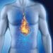 10 Signs Your Body Is Too Acidic : Understanding Symptoms and Preventive Measures 9 Acidic Reactions