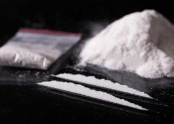 Massive Drug Cartel Crackdown